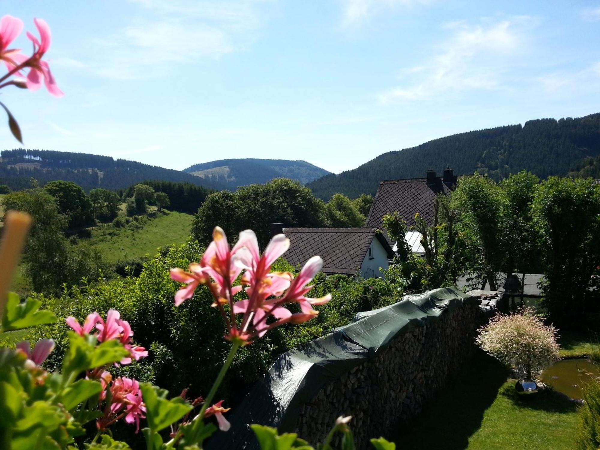 Ferienwohnungen Luge - Winterberg Zimmer foto