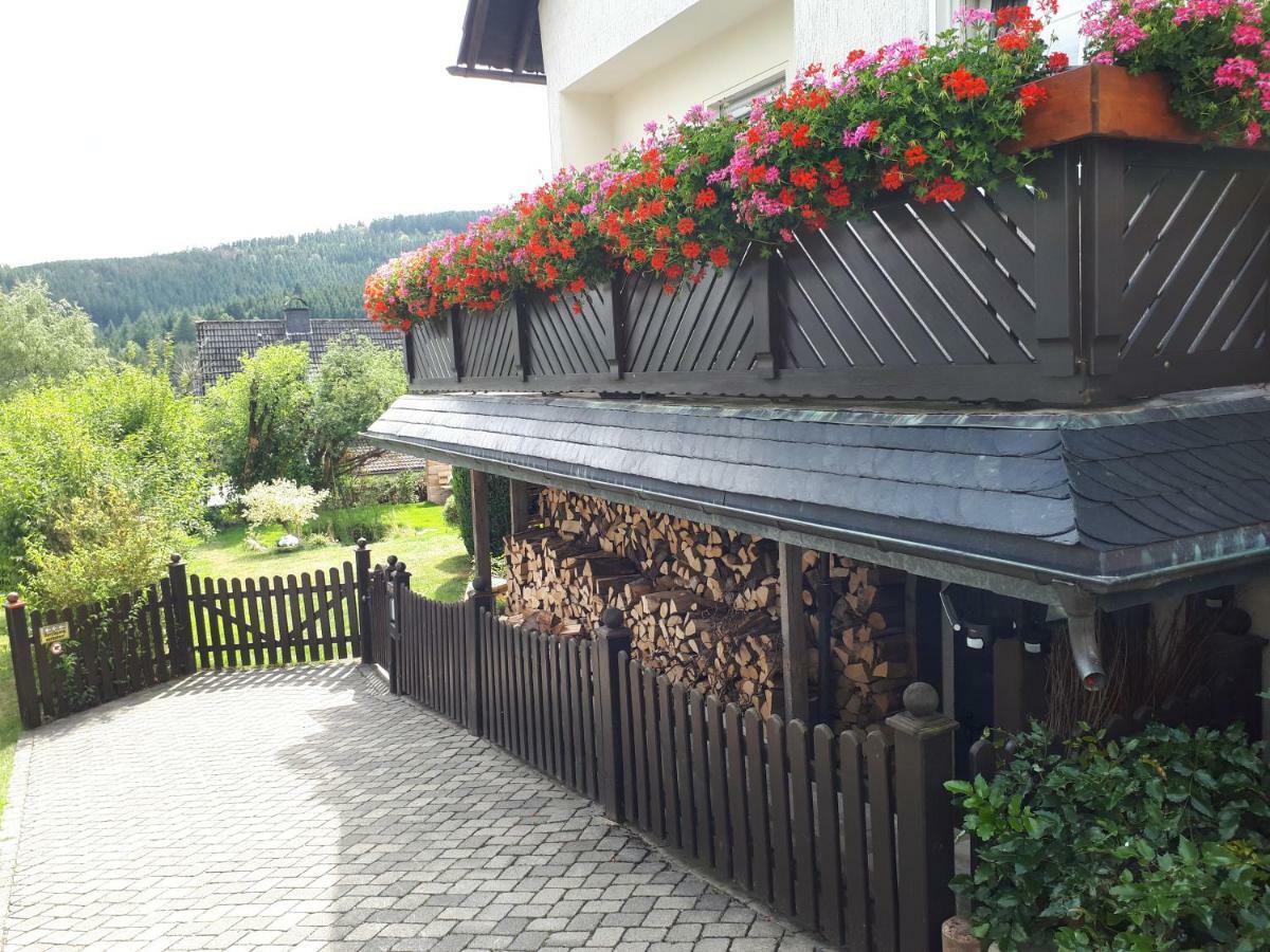 Ferienwohnungen Luge - Winterberg Exterior foto