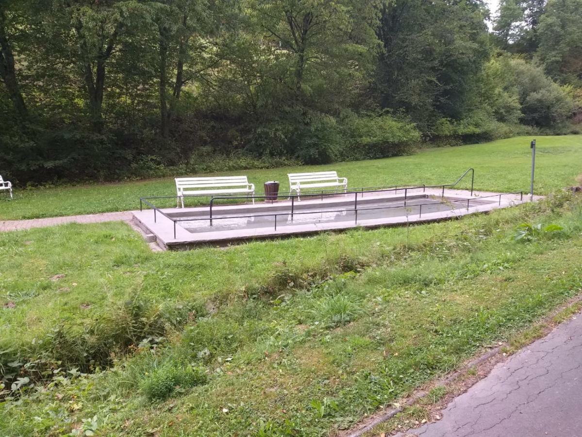 Ferienwohnungen Luge - Winterberg Exterior foto