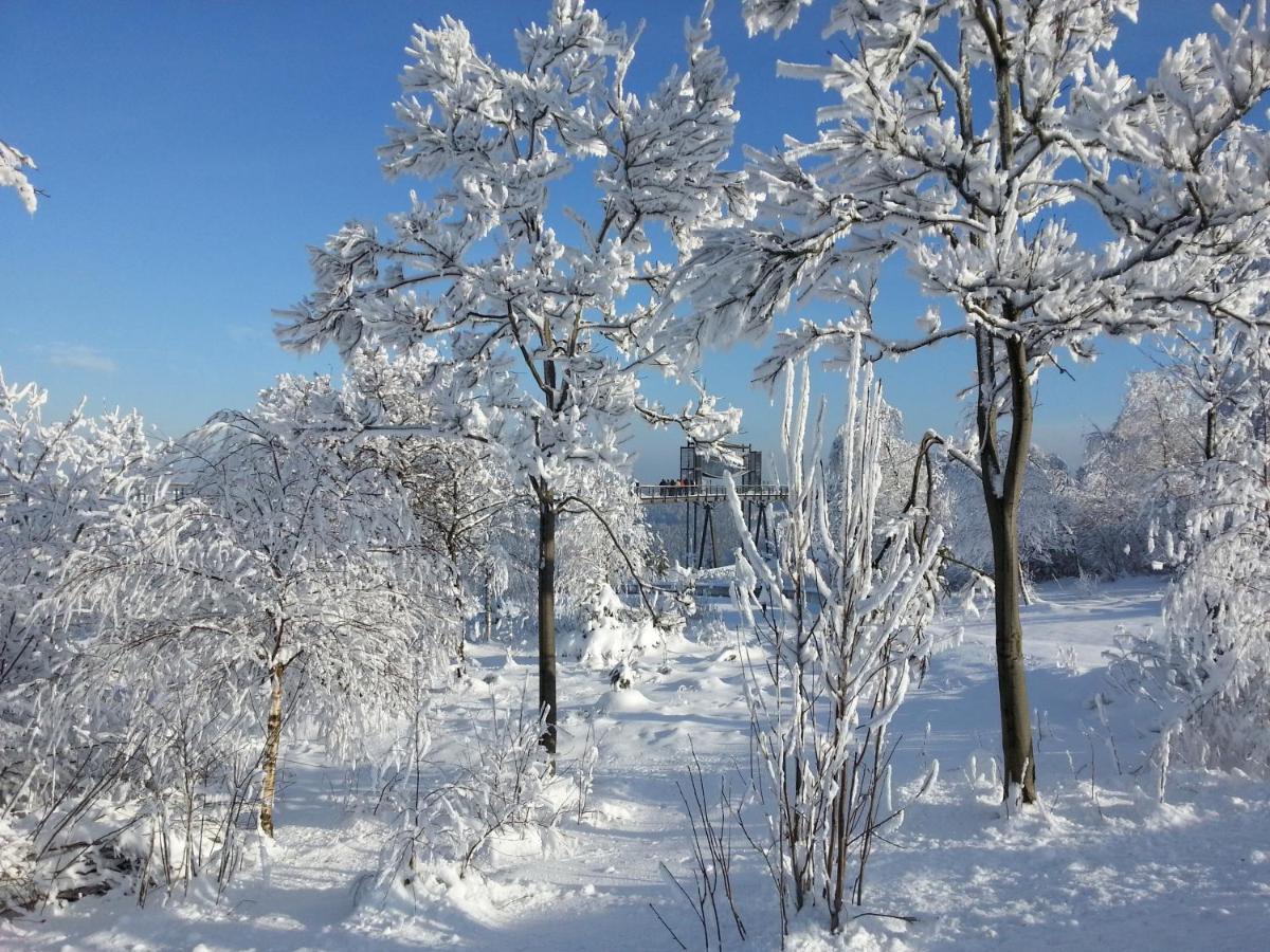 Ferienwohnungen Luge - Winterberg Zimmer foto